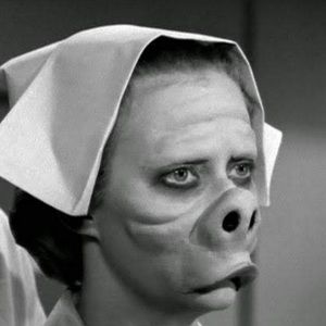 Meet your Posher, P.